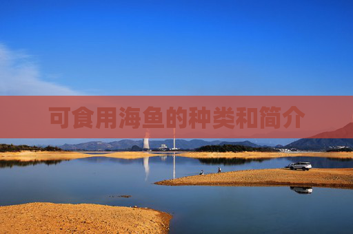可食用海鱼的种类和简介