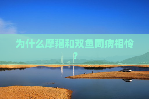 为什么摩羯和双鱼同病相怜？