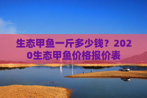 生态甲鱼一斤多少钱？2020生态甲鱼价格报价表