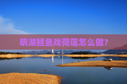 明湖鲤鱼戏荷莲怎么做？