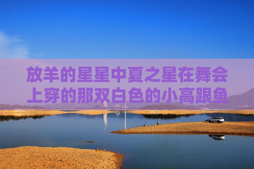 放羊的星星中夏之星在舞会上穿的那双白色的小高跟鱼嘴鞋哪里有的卖，可以把网址给我吗