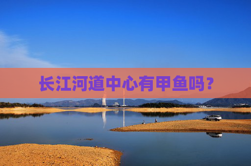 长江河道中心有甲鱼吗？