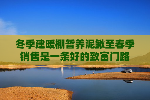 冬季建暖棚暂养泥鳅至春季销售是一条好的致富门路
