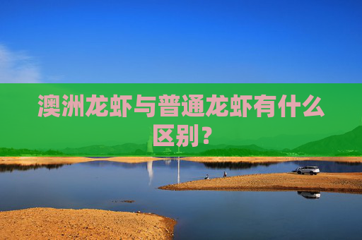 澳洲龙虾与普通龙虾有什么区别?
