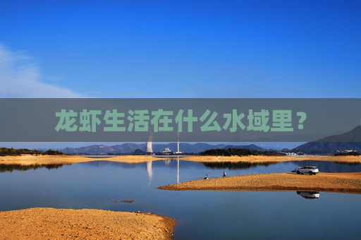 龙虾生活在什么水域里? 龙虾生活在什么水域里?