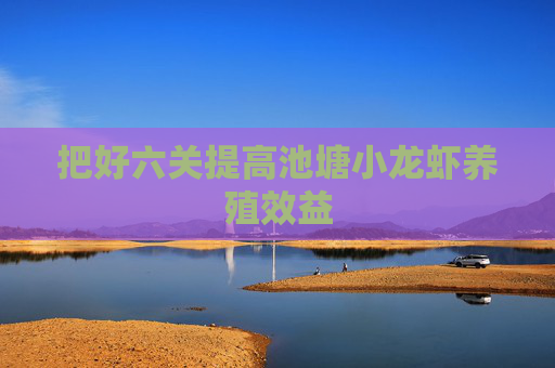 把好六关提高池塘小龙虾养殖效益