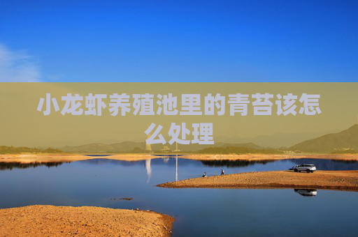 小龙虾养殖池里的青苔该怎么处理