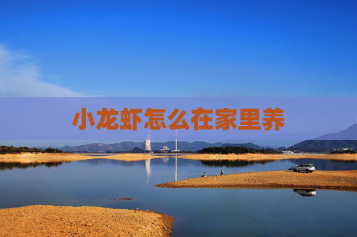 小龙虾怎么在家里养