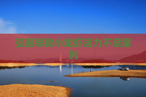 弧菌导致小龙虾活力不足案例