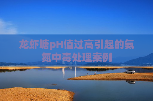 龙虾塘pH值过高引起的氨氮中毒处理案例 龙虾塘pH值过高引起的氨氮中毒处理案例