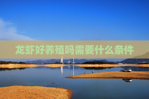 龙虾好养殖吗需要什么条件