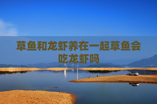 草鱼和龙虾养在一起草鱼会吃龙虾吗