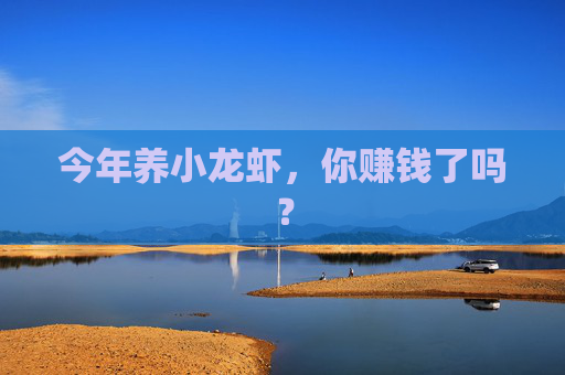 今年养小龙虾，你赚钱了吗？