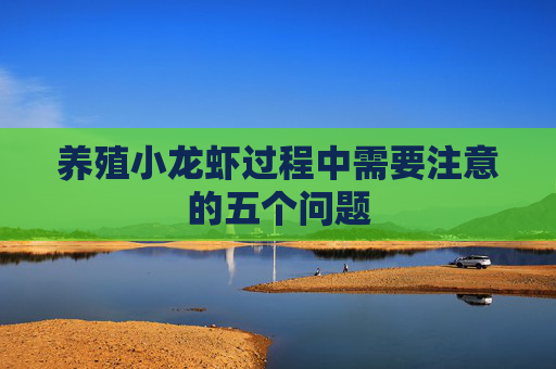养殖小龙虾过程中需要注意的五个问题