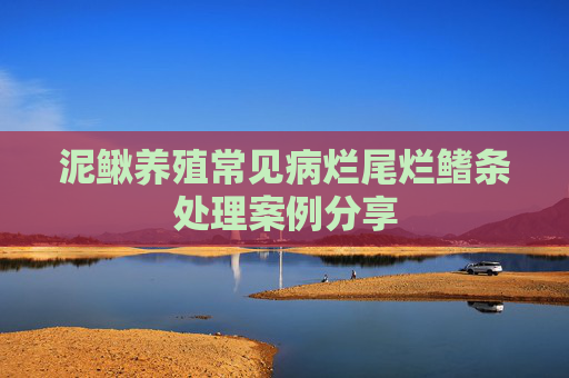 泥鳅养殖常见病烂尾烂鳍条处理案例分享