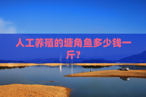 人工养殖的塘角鱼多少钱一斤？