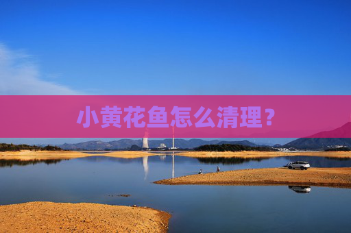 小黄花鱼怎么清理？