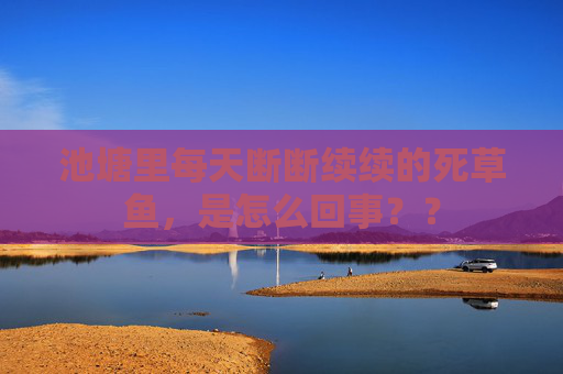 池塘里每天断断续续的死草鱼，是怎么回事？？