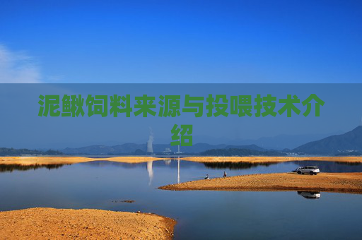 泥鳅饲料来源与投喂技术介绍