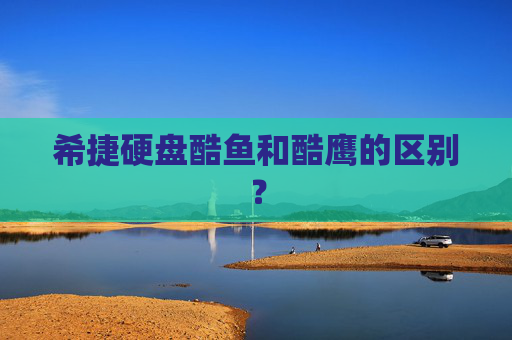 希捷硬盘酷鱼和酷鹰的区别？