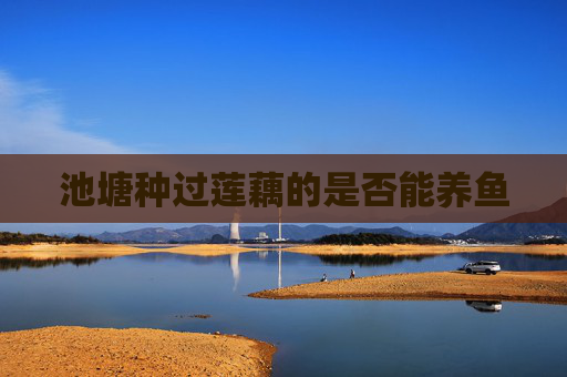 池塘种过莲藕的是否能养鱼