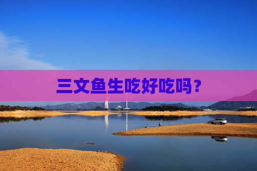 三文鱼生吃好吃吗？