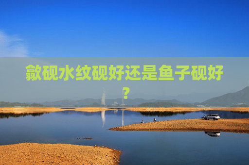 歙砚水纹砚好还是鱼子砚好?