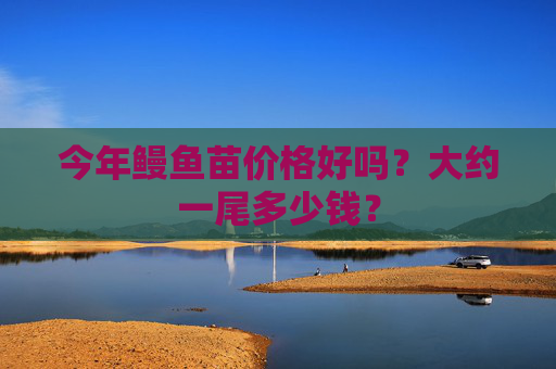 今年鳗鱼苗价格好吗？大约一尾多少钱？