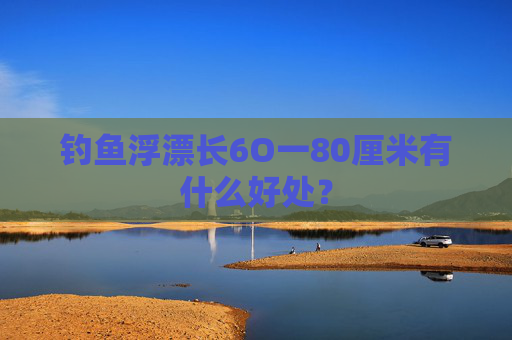 钓鱼浮漂长6O一80厘米有什么好处？