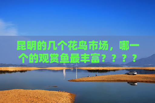 昆明的几个花鸟市场,哪一个的观赏鱼最丰富????… 昆明的几个花鸟市场,哪一个的观赏鱼最丰富????…