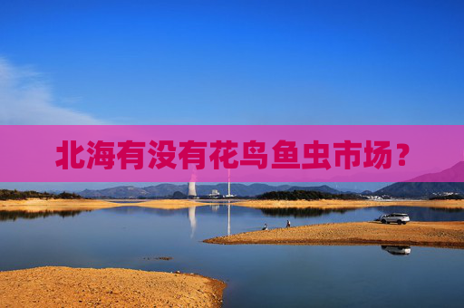 北海有没有花鸟鱼虫市场？