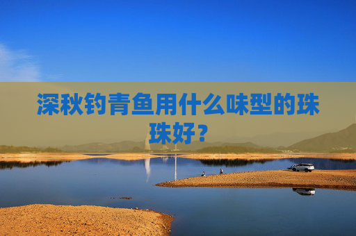 深秋钓青鱼用什么味型的珠珠好？