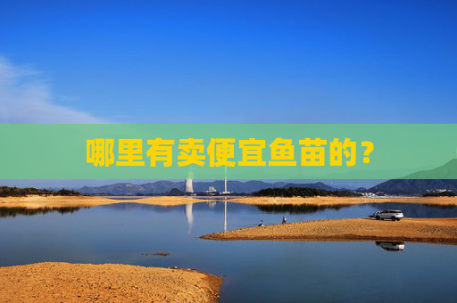 哪里有卖便宜鱼苗的？