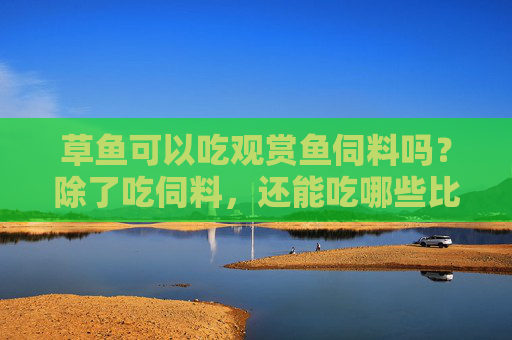 草鱼可以吃观赏鱼伺料吗？除了吃伺料，还能吃哪些比较常见的东西呢？