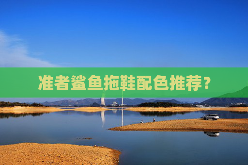 准者鲨鱼拖鞋配色推荐？