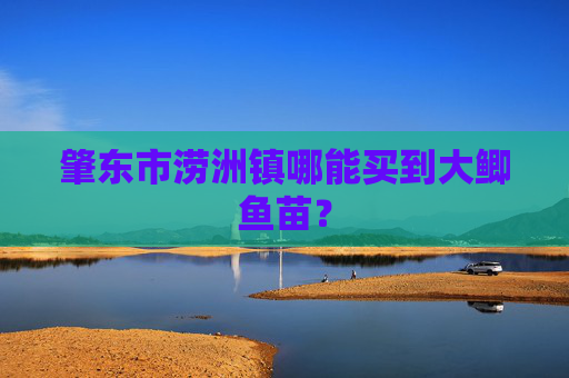 肇东市涝洲镇哪能买到大鲫鱼苗？