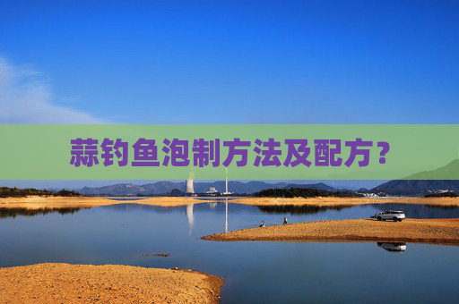蒜钓鱼泡制方法及配方？