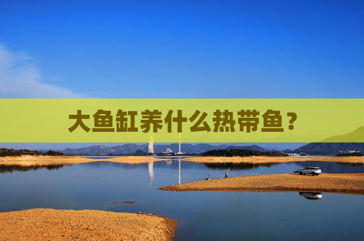 大鱼缸养什么热带鱼？