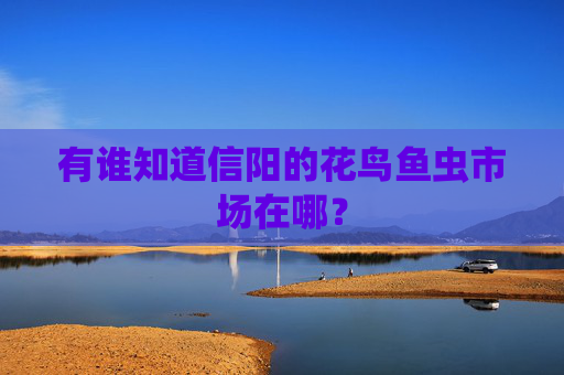 有谁知道信阳的花鸟鱼虫市场在哪？