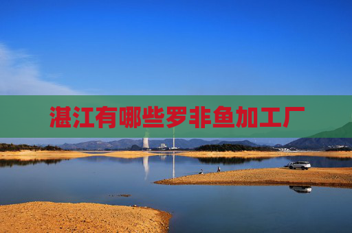 湛江有哪些罗非鱼加工厂