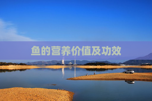 鱼的营养价值及功效