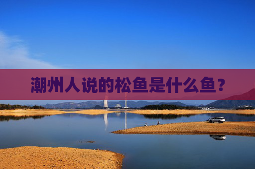 潮州人说的松鱼是什么鱼？
