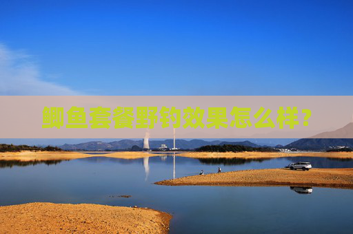 鲫鱼套餐野钓效果怎么样？