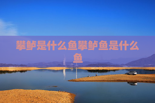 攀鲈是什么鱼攀鲈鱼是什么鱼