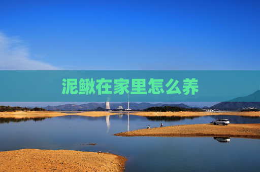 泥鳅在家里怎么养
