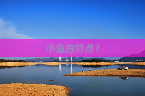 小鱼的特点？