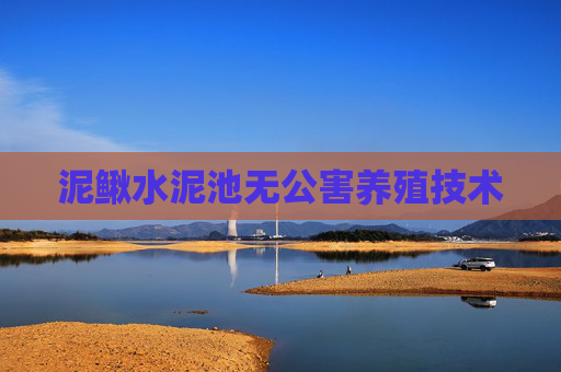 泥鳅水泥池无公害养殖技术 泥鳅水泥池无公害养殖技术