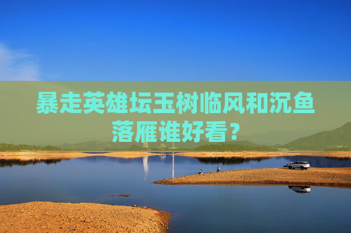 暴走英雄坛玉树临风和沉鱼落雁谁好看？