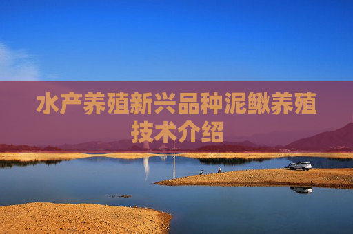 水产养殖新兴品种泥鳅养殖技术介绍