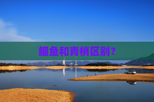 鲴鱼和青梢区别？